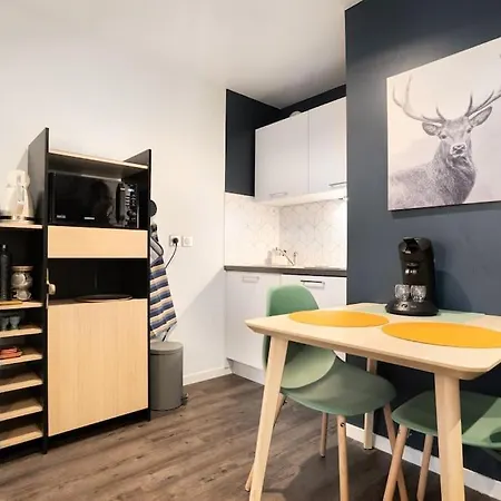 Appartamento Cosy Avec Parking Lione